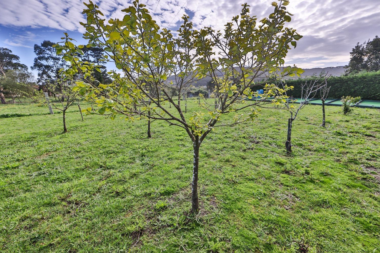 De Mallas Villa